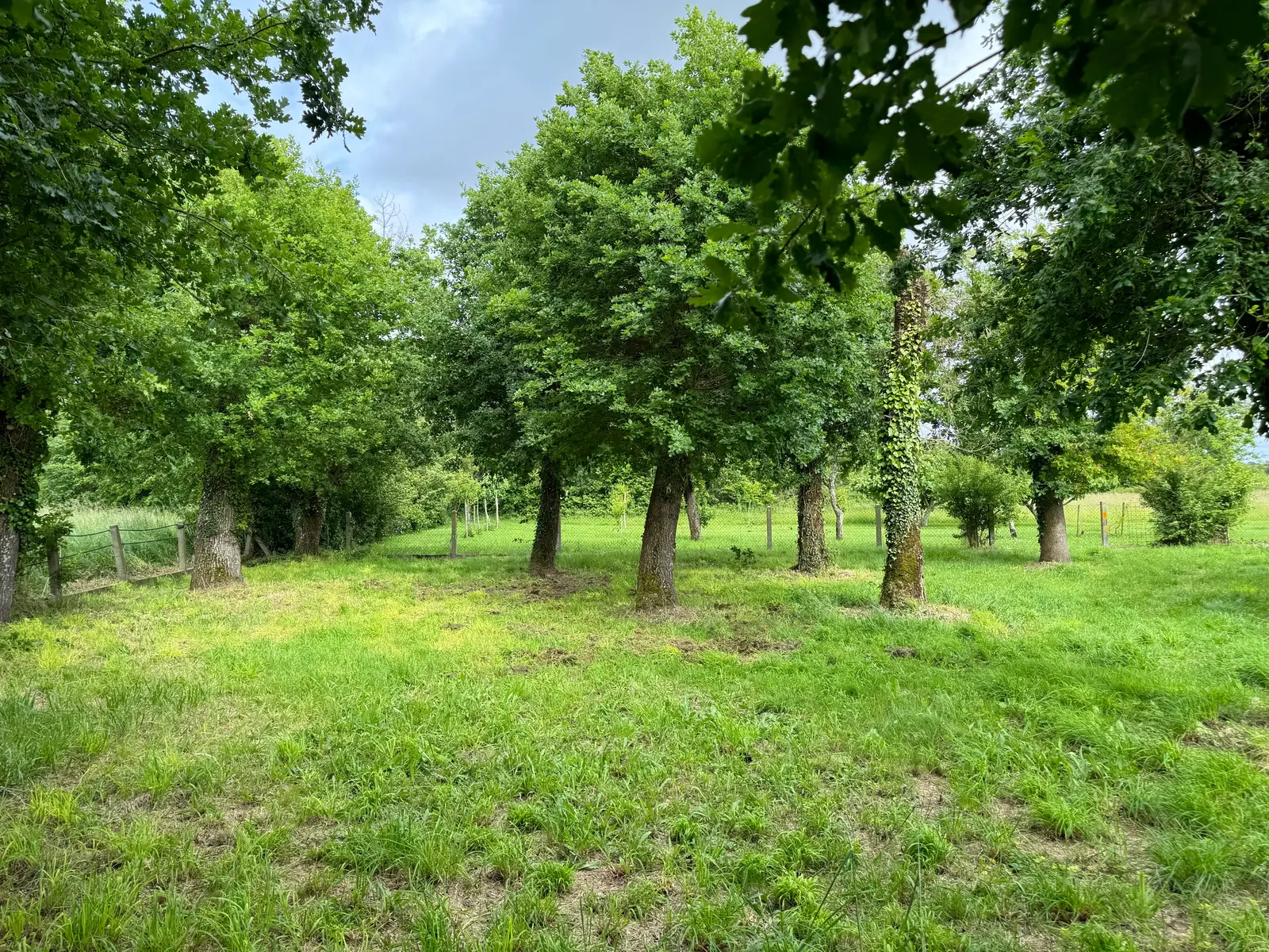 Land — Breuillet