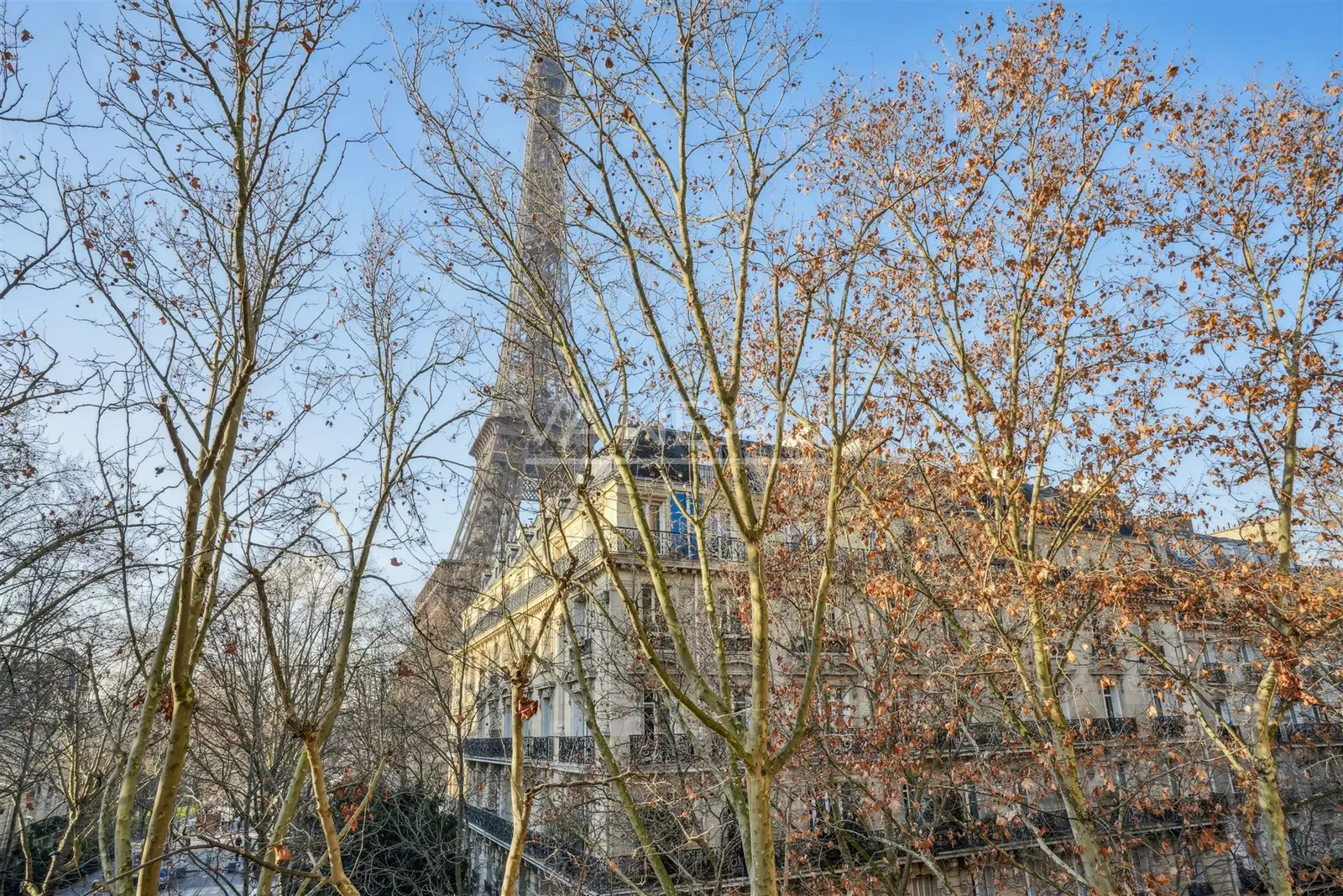 Gros Caillou - Vue Tour Eiffel