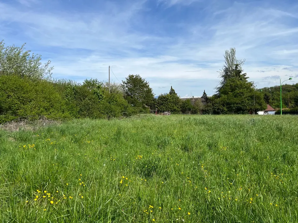 Land — Monnetier-Mornex
