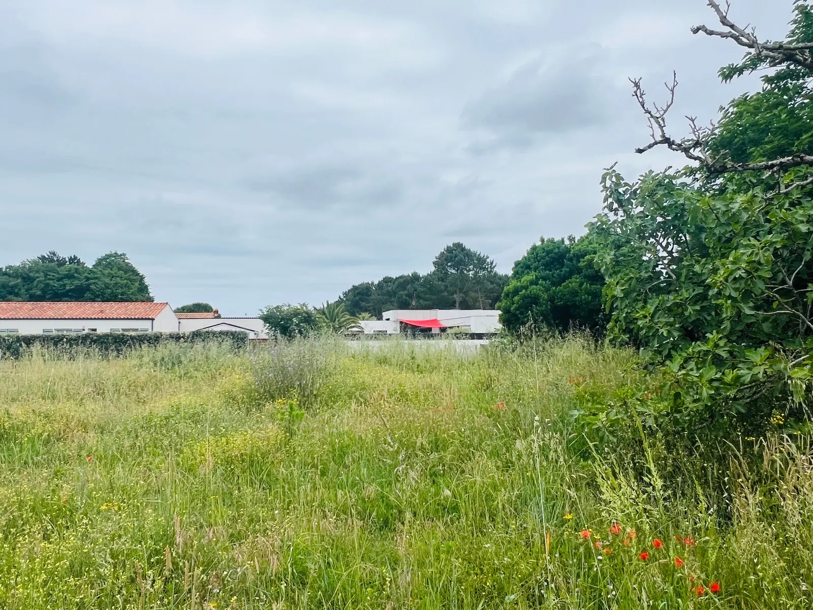 Land — la Palmyre