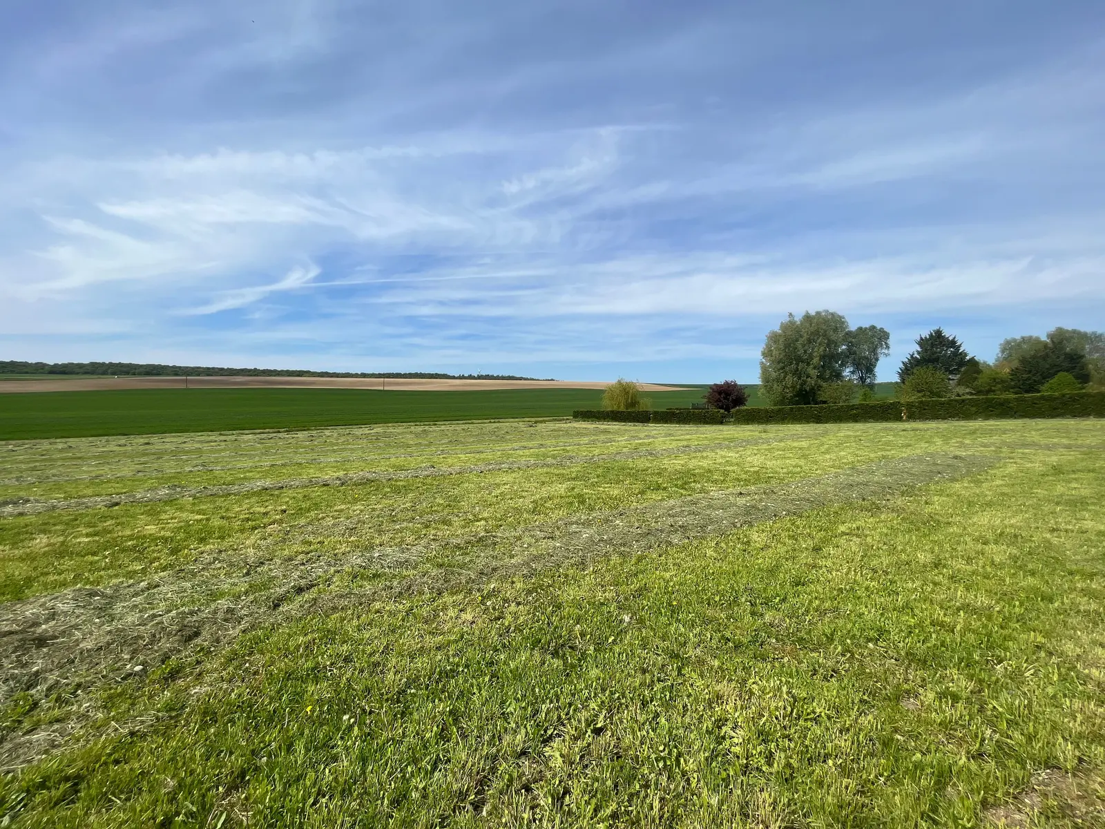 Land — Souilly