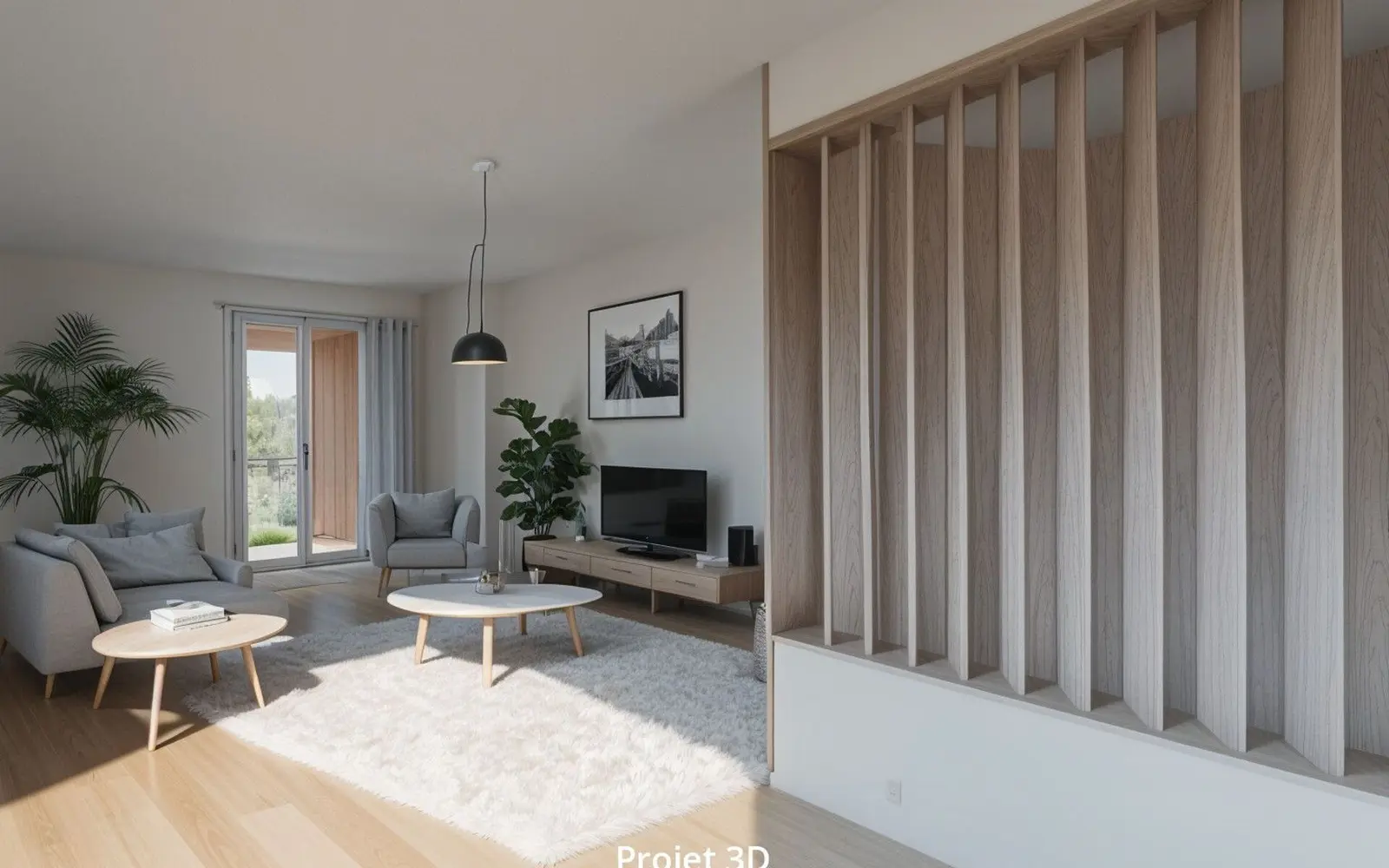 Appartement T3 Lyon 9 69009