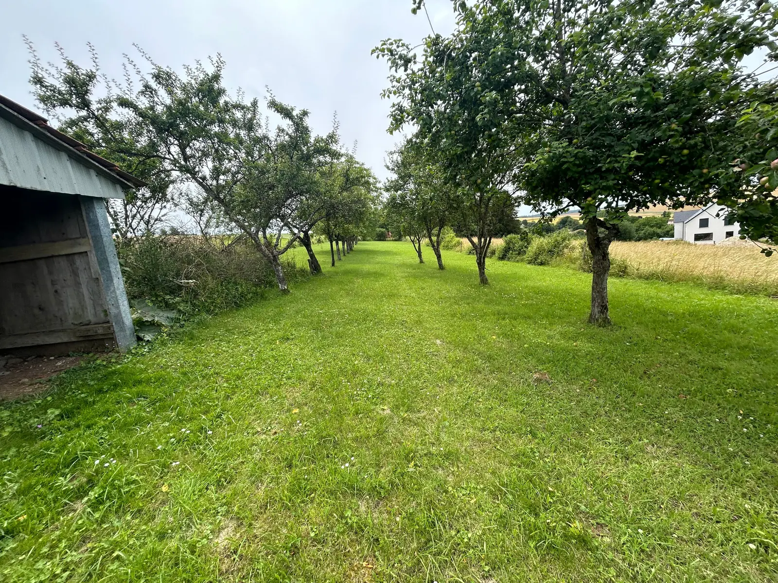 Land — Senoncourt-les-Maujouy