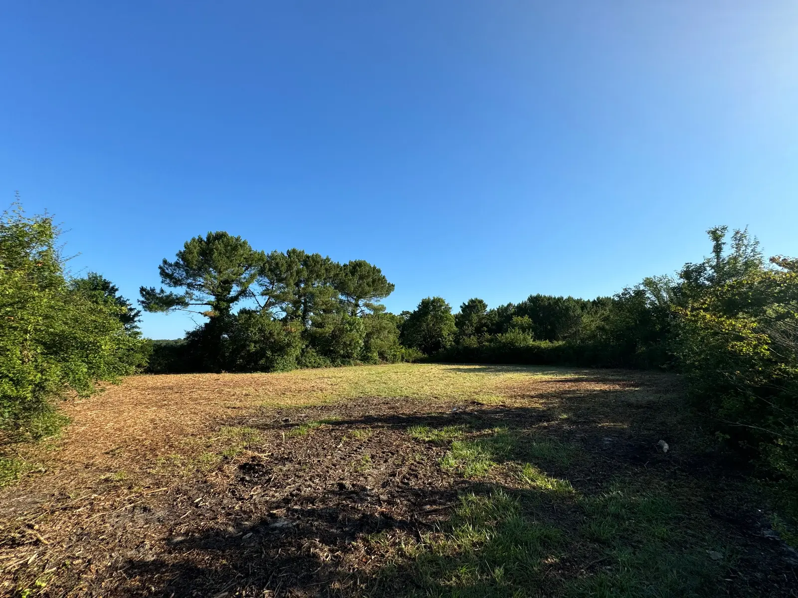 Land — Arvert