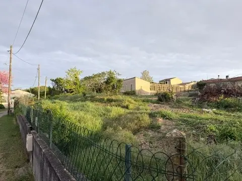 Land — Saint-Palais-sur-Mer