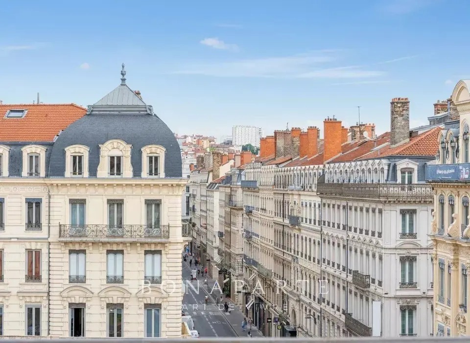 Lyon Jacobins - 241 M² 4 Chambres Balcon Vue